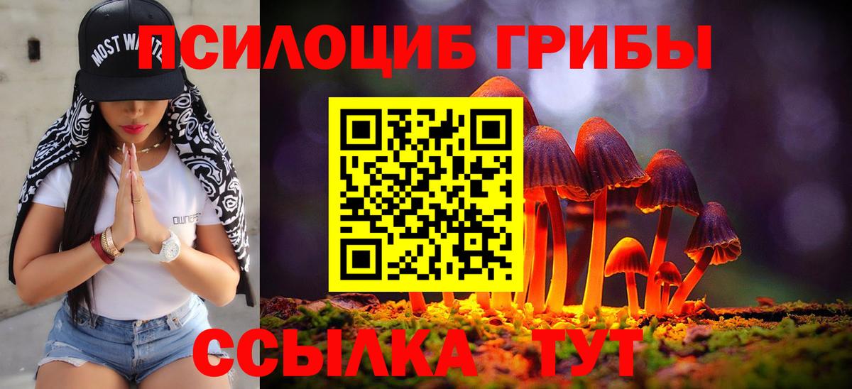 дарнет шоп  Вход с VPN  Химки  Псилоцибиновые грибы Magic Shrooms  Псилоцибиновые грибы мицелий 