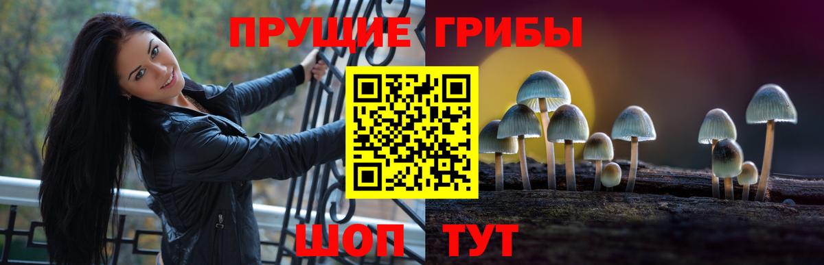 Псилоцибиновые грибы MAGIC MUSHROOMS Химки